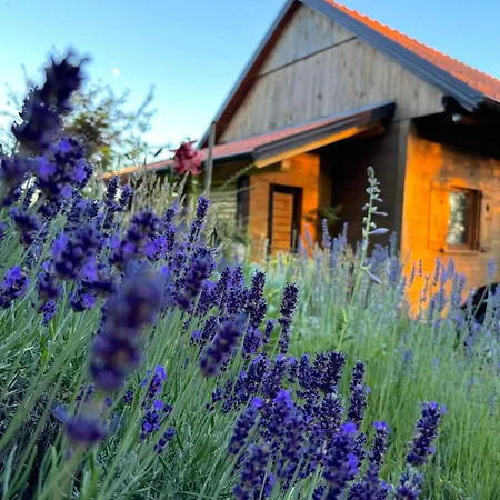 Relax House Aurora Holiday home