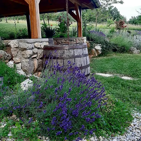 Relax House Aurora Jasenovica