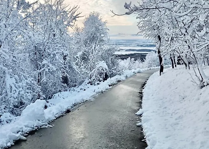 펜션 Relax House Aurora