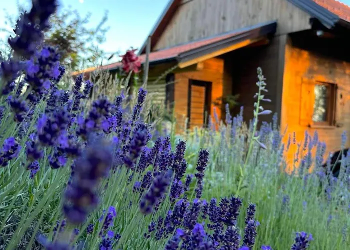 Relax House Aurora 펜션